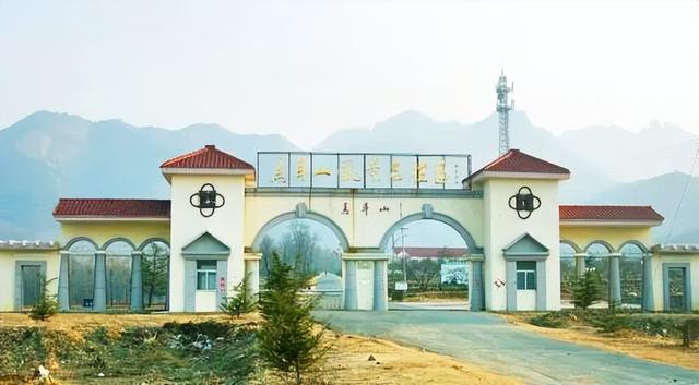 “龙”游诸城，诸事皆成