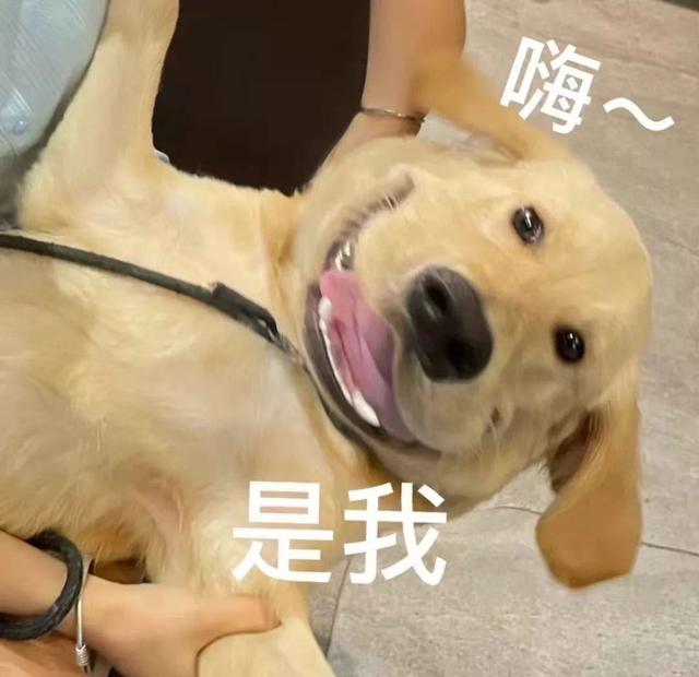 四川主流自考院校申请学位证的要求汇总，不考外语也行吗？