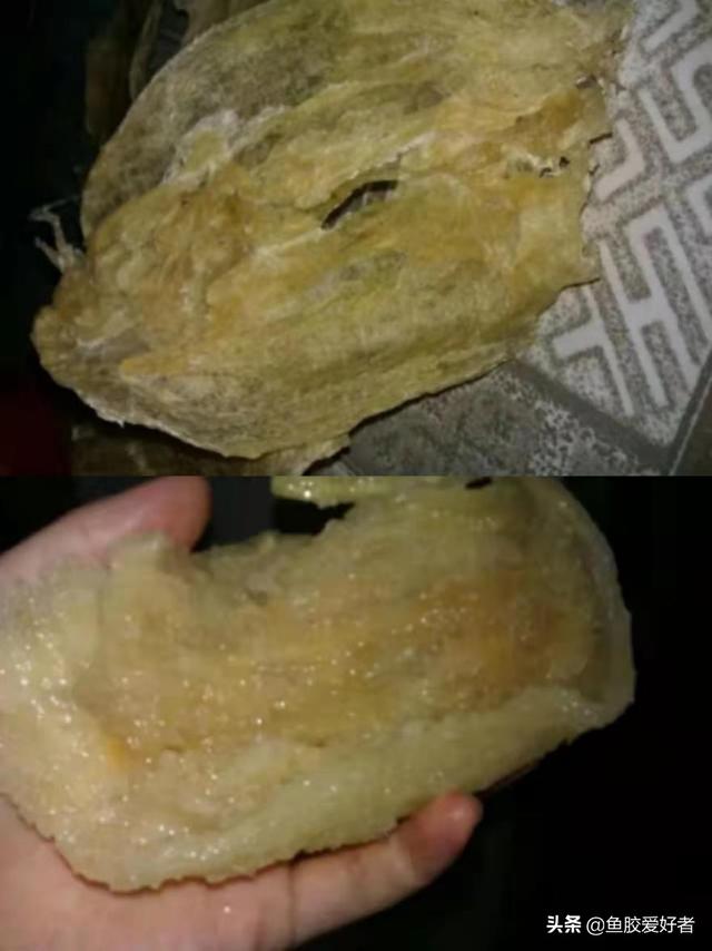 泰国会买到假花胶吗 2026年泰国会买到假花胶吗为什么