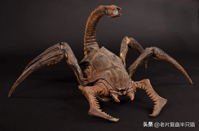 盘点《星河战队》虫族兵种，从低级兵，讲到女王和虫神