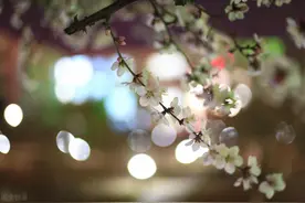 经常发朋友圈的人，往往是这4种人图片