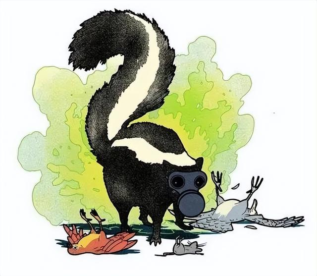 一个屁能把人熏昏？“臭鼬”为何是世界上最臭的动物？真辣眼睛