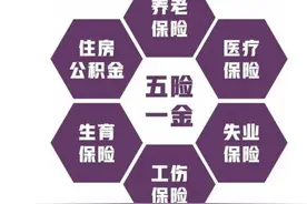 国家要求五险一金，为什么大部分企业只给上五险，或只给上三险？图片