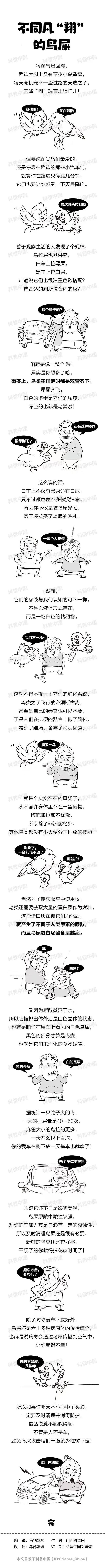 为什么鸟喜欢在白车上拉黑屎，黑车上拉白屎？这到底是什么原因