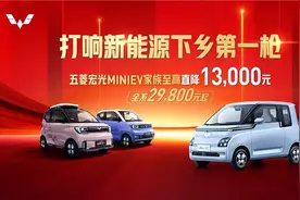 助力新能源下乡，五菱新能源“放大招”至高补贴13000图片