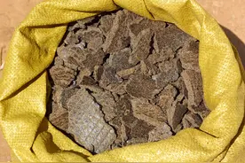 饼肥的发酵和使用方法图片