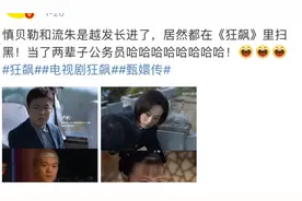 《甄嬛传》里的她和他，竟然在《狂飙》重逢了！图片