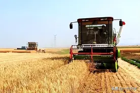 农民注意：夏收秸秆继续禁烧，多地已开出罚单！有啥处罚？图片