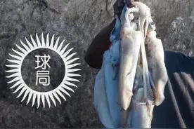 这个组合国家，为什么要换首都？| 地球知识局图片