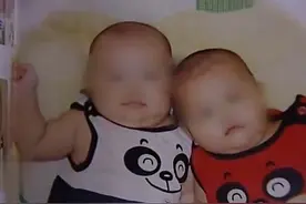 失独母亲56岁再育双胞胎：为了两个孩子，我想活到100岁图片