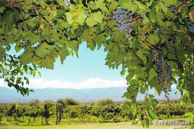 阿根廷跨年去哪玩？从北到南全攻略