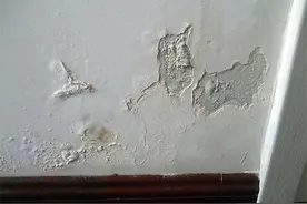 室内墙面返潮发霉掉皮怎么处理不再反复？图片