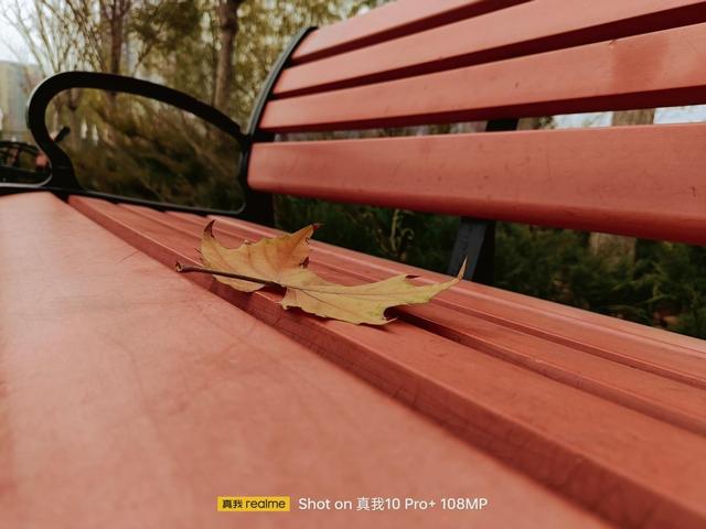 realme真我10 Pro+评测：2160Hz高频调光 一亿像素主摄加持