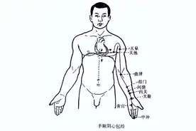穴位养生-手厥阴心包经图片