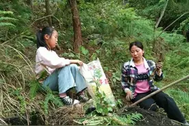 故事：无血缘的姐姐结婚，我随礼8千，看到新郎后我又加了5万！图片