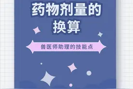 药物剂量的换算图片