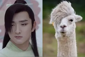 长相磕碜就别尬演美男了，这9位男星演古装美男，看得人浑身难受图片
