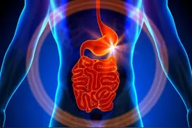 消化道异物之影像所见图片