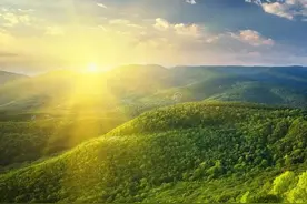 写给新手小白：你的微头条为什么没有收益？看完你就明白了图片