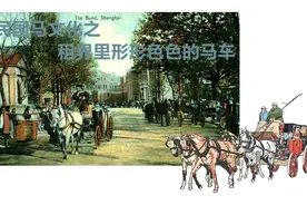 旧时租界里那形形色色的马车图片