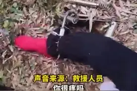 疼！镇江10岁女孩踏青误踩捕兽夹被困图片