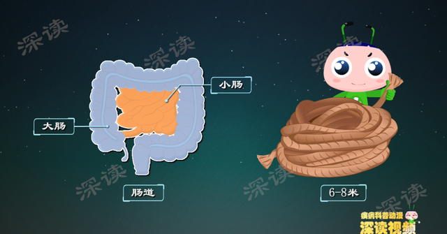 身体有4个症状,别大意,可能是肠梗阻