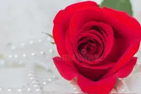 某人，我好想你图片