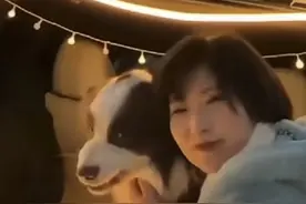 女生与边牧贴脸合影，结果被反咬脸部，恐已毁容，责任在谁？图片