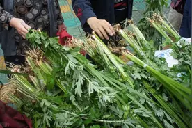 艾草换种吃法、用法！温经通络、散寒止痛、缓解手麻，不知道太亏图片
