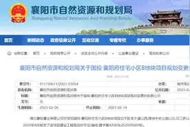 公示！襄阳城区两大项目规划有调整！图片