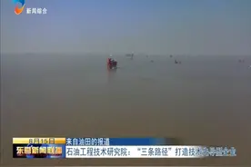 「来自油田的报道」石油工程技术研究院：“三条路径”打造技术先导型企业图片