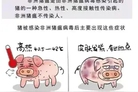 一招辨别非洲猪瘟病毒，什么是非洲猪瘟，非洲猪瘟感染有什么特点图片