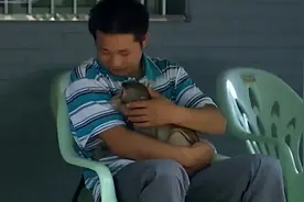 09年重庆男子捡回猕猴，3次放生失败，第4次竟穿越30公里回来报恩图片