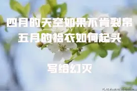 《四月裂帛》——四月的天空如果不肯裂帛，五月的袷衣如何起头图片
