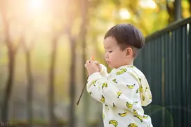 家有男孩的父母必看，决定了孩子的未来！图片