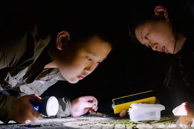 “孩子沉迷于迷你世界游戏，我该如何制止？”网友评论：太凡尔赛