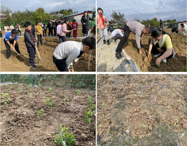 四川省民生研究会新媒体中心-官网