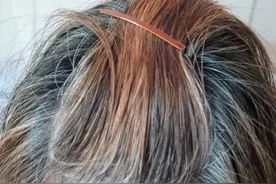 纯植物（叶子）染发，是我的最爱图片