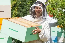 蜜蜂养殖并不难，学会控蜂、发展、取蜂蜜，学徒也能变师傅图片