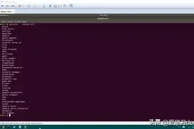 Ubuntu 如何启动、停止或重启服务图片