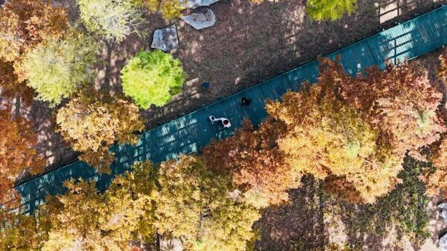 最新实拍！烟台鱼鸟河“顶级秋色”加载中