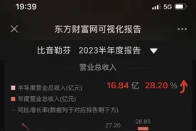 LVMH销售王，杰尼亚增长王，比音勒芬新晋黑马图片