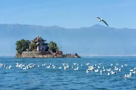 滕王阁序之逐句对译及生词注音释义图片