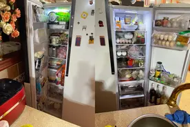 冰箱里的小世界，居家日常囤货指南，这样买这样囤图片