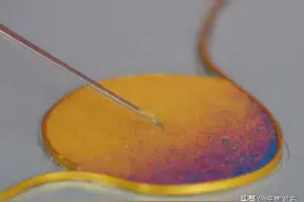 个个都出挑！藏在辛集的这些非遗图片