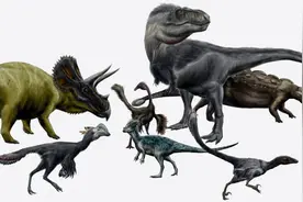 为什么说恐龙没有全部灭绝，还生活在地球，在人类身边随处可见？图片