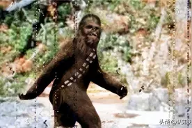 57年浙江村民发现“野人”，村民将之打死吃肉，一位老者留下手脚图片