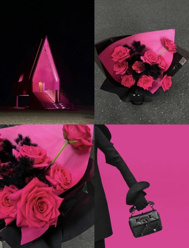 玫瑰图鉴‖兰蔻的御用玫瑰弗洛伊德,魅惑又高级(玫瑰花图片大全大图高