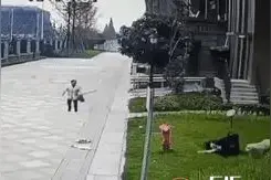 四川恶犬咬人后续，白狗拉布拉多被找到，监控还它清白，宣告无罪图片