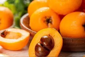 重庆枇杷要熟啦！重庆主城及周边20处枇杷采摘地五一节大推荐图片